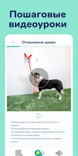 Скриншот 3 — Hundeo: Дрессировка собак