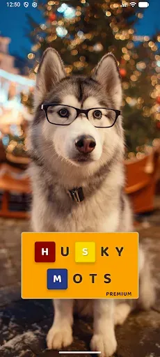 Скриншот 1 — Husky Mots Premium