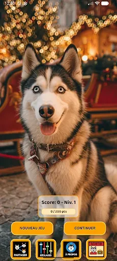 Скриншот 2 — Husky Mots Premium