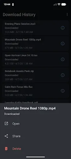 Скриншот 4 — Download All Files