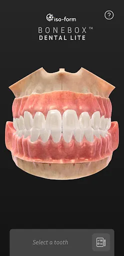 Скриншот 1 — BoneBox™ - Dental Lite