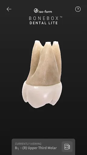 Скриншот 2 — BoneBox™ - Dental Lite