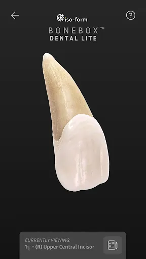 Скриншот 3 — BoneBox™ - Dental Lite