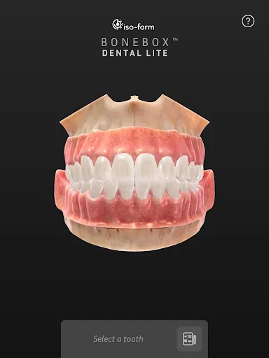 Скриншот 5 — BoneBox™ - Dental Lite