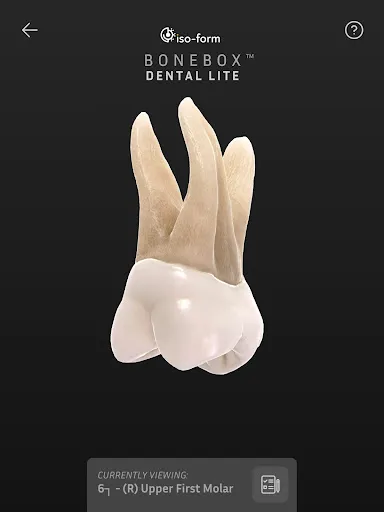 Скриншот 6 — BoneBox™ - Dental Lite