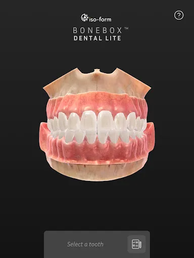Скриншот 8 — BoneBox™ - Dental Lite