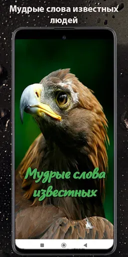 Скриншот 1 — Мудрые слова известных людей