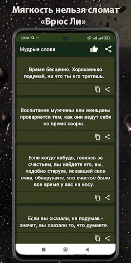 Скриншот 4 — Мудрые слова известных людей