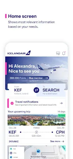 Скриншот 2 — Icelandair