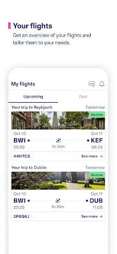 Скриншот 4 — Icelandair
