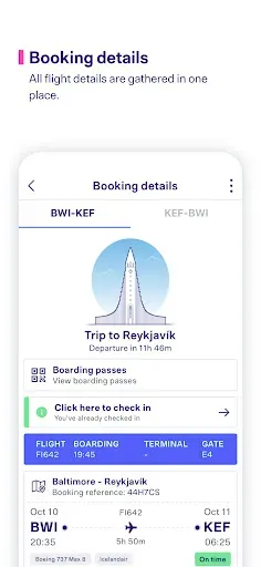 Скриншот 5 — Icelandair