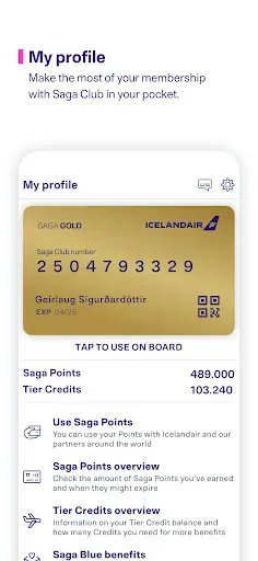 Скриншот 6 — Icelandair