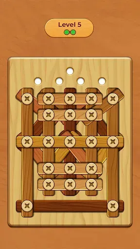 Скриншот 3 — Wood Screw Puzzle