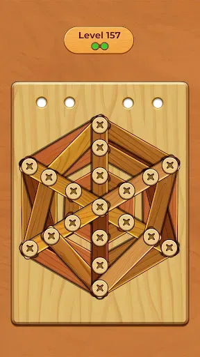 Скриншот 5 — Wood Screw Puzzle