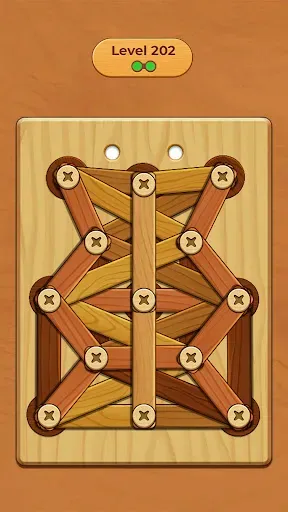 Скриншот 6 — Wood Screw Puzzle