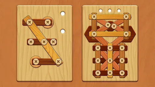 Скриншот 7 — Wood Screw Puzzle
