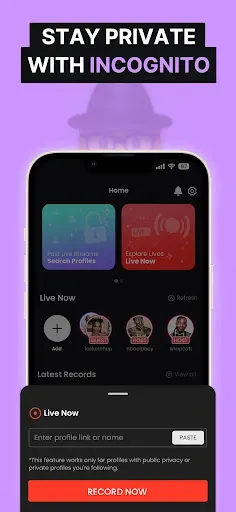 Скриншот 4 — Live Video Recorder - GREC