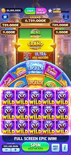 Скриншот 1 — Vegas Frenzy