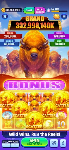 Скриншот 3 — Vegas Frenzy