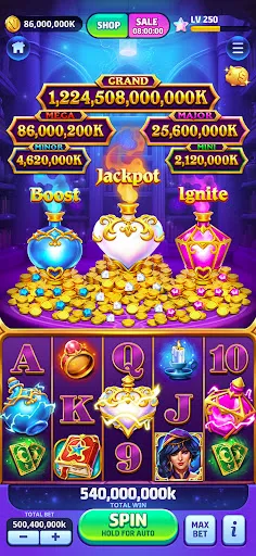 Скриншот 7 — Vegas Frenzy