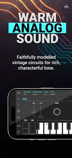 Скриншот 1 — DRC - Polyphonic Synthesizer