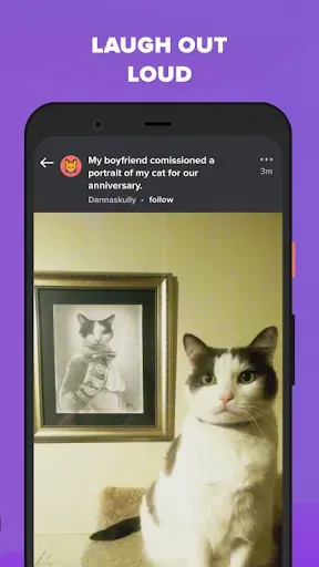 Скриншот 4 — Imgur: Funny Memes & GIF Maker