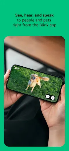 Скриншот 3 — Blink Home Monitor