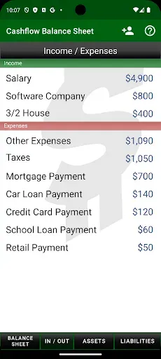 Скриншот 2 — Cashflow Balance Sheet