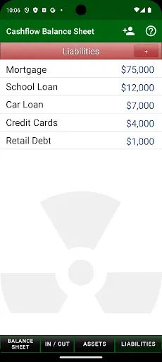 Скриншот 4 — Cashflow Balance Sheet