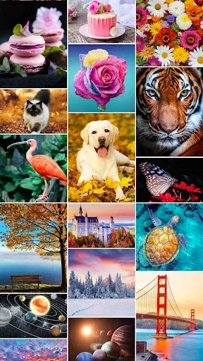 Скриншот 6 — Jigsaw1000: Jigsaw puzzles