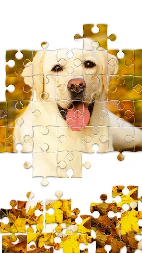 Скриншот 7 — Jigsaw1000: Jigsaw puzzles
