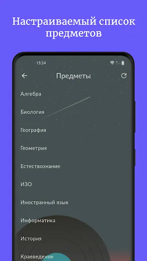 Скриншот 3 — Дневник школьника