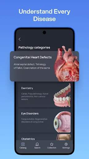 Скриншот 2 — VOKA 3D Анатомия человека