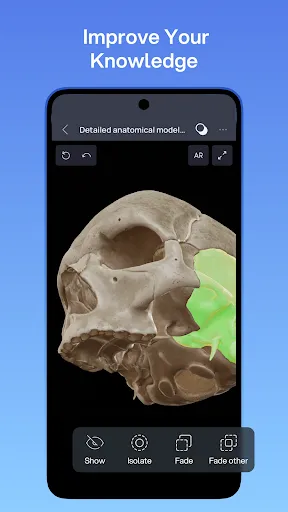 Скриншот 3 — VOKA 3D Анатомия человека