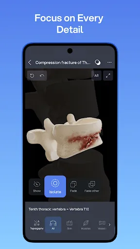Скриншот 6 — VOKA 3D Анатомия человека
