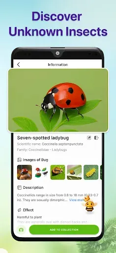 Скриншот 3 — Bug Identifier Bug Finder