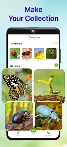 Скриншот 5 — Bug Identifier Bug Finder