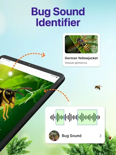 Скриншот 7 — Bug Identifier Bug Finder