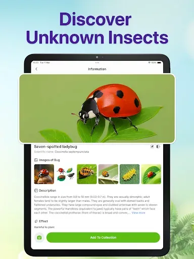 Скриншот 8 — Bug Identifier Bug Finder