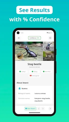 Скриншот 2 — Insect Identifier - Insectium