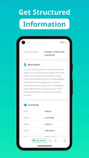 Скриншот 3 — Insect Identifier - Insectium