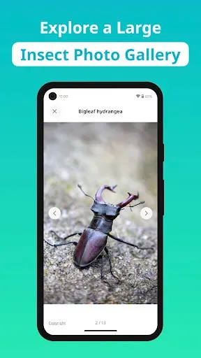 Скриншот 4 — Insect Identifier - Insectium