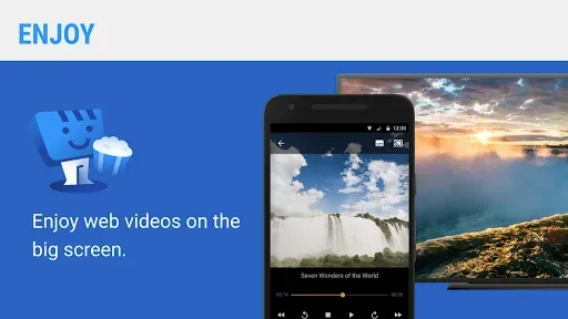Скриншот 8 — Web Video Caster Receiver