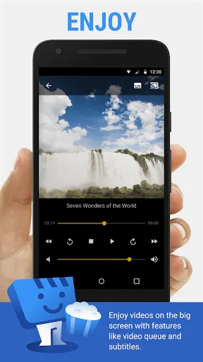 Скриншот 3 — Web Video Cast