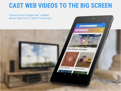 Скриншот 7 — Web Video Cast