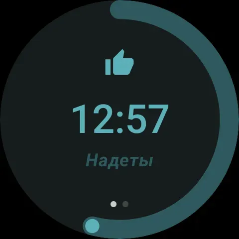 Скриншот 7 — TrayMinder