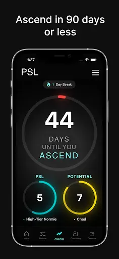 Скриншот 7 — PSL - Looksmax & Ascend