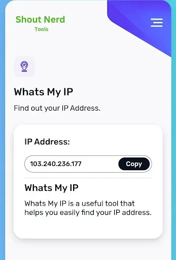 Скриншот 3 — Whats my IP address
