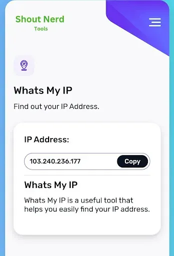 Скриншот 5 — Whats my IP address