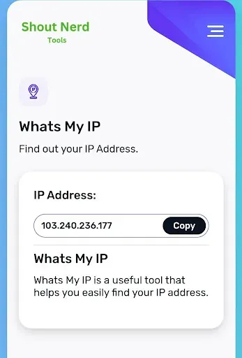Скриншот 7 — Whats my IP address